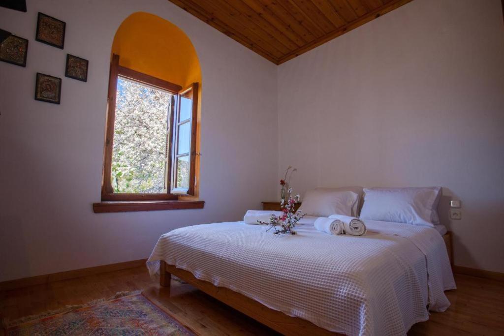 Eremia Rustic House - Entire Villa In Pelion Makrinítsa Buitenkant foto
