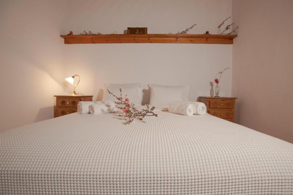 Eremia Rustic House - Entire Villa In Pelion Makrinítsa Buitenkant foto